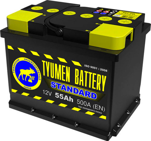 TYUMEN BATTERY STANDART