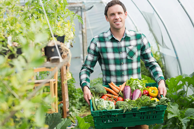 Which greenhouse to choose