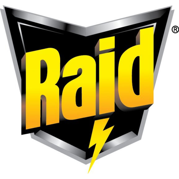 raid