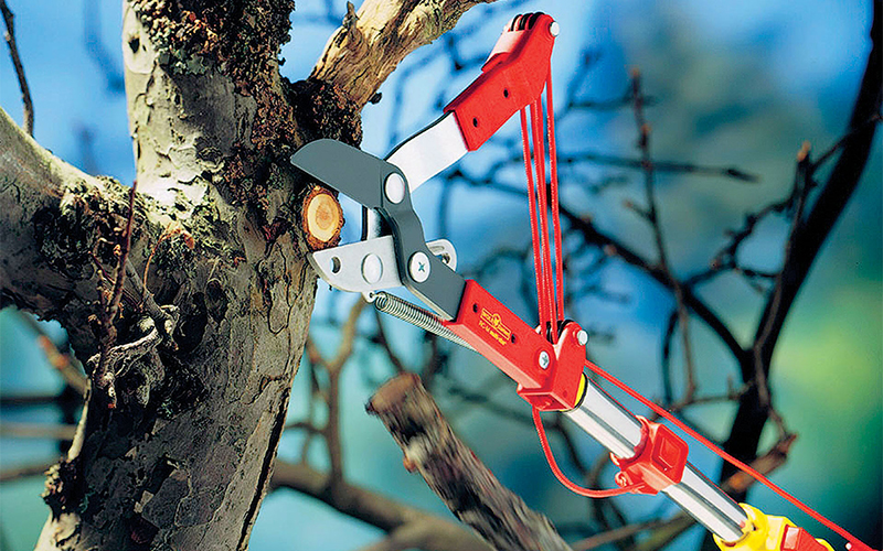 The principle of operation and the device garden pruner