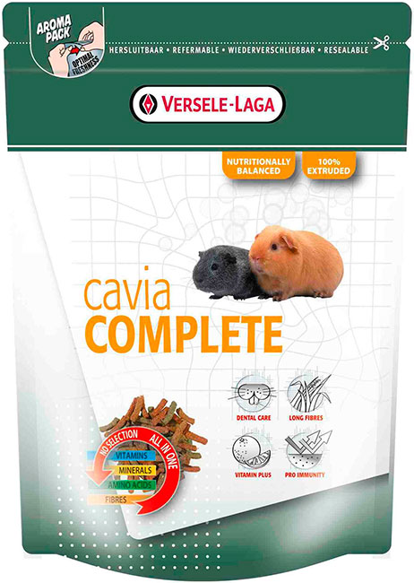 Cavia Completo