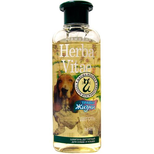 Herba vitae degot