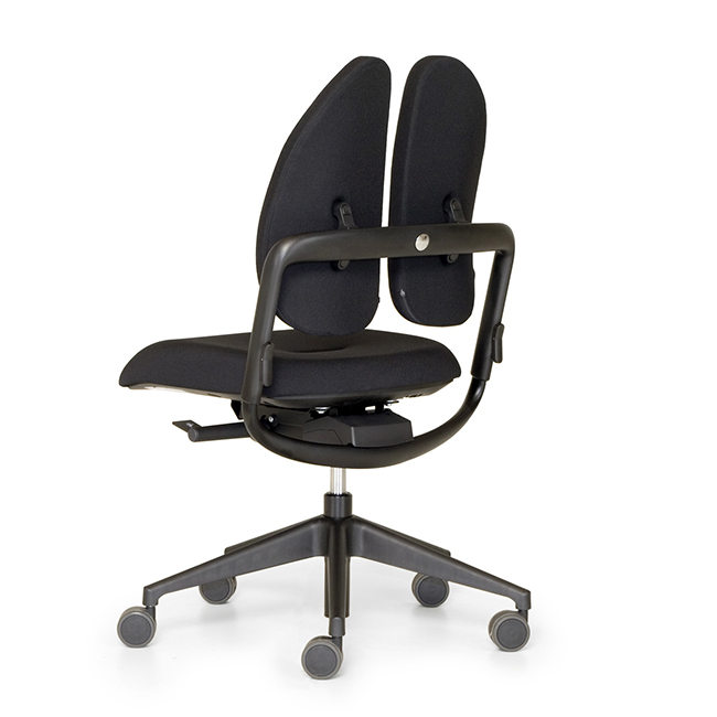 Duo-Back Balance - double back chair