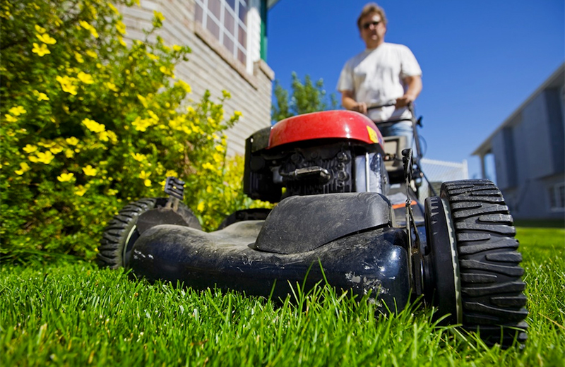 The principle of operation and the device lawn mowers