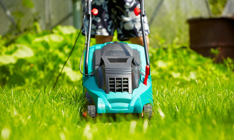 How much does a lawn mower cost