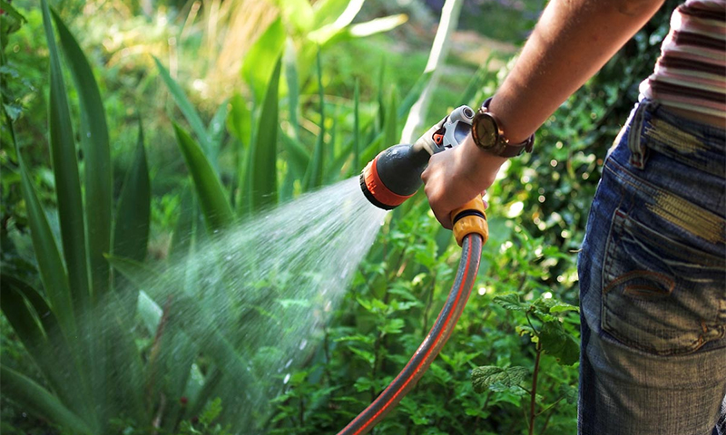 How much is a hose for watering