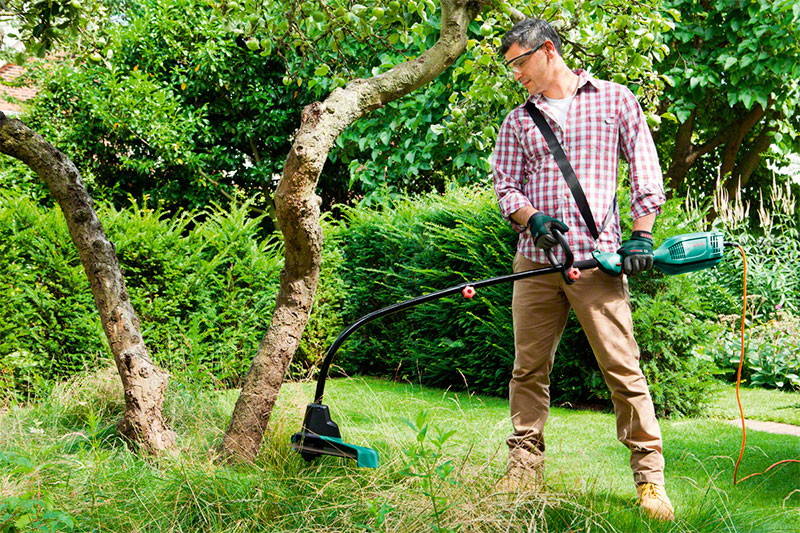 What grass trimmer to choose