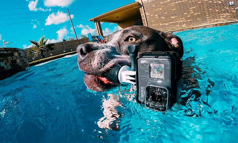 Action cameras