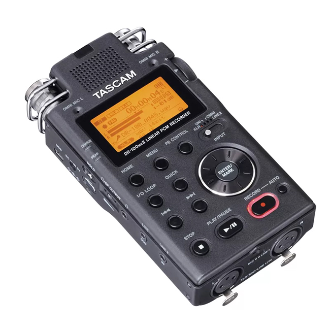 TASCAM DR-100 MKII - a capacidade de gravar uma variedade de materiais